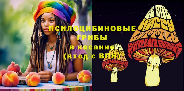 бутират Горно-Алтайск
