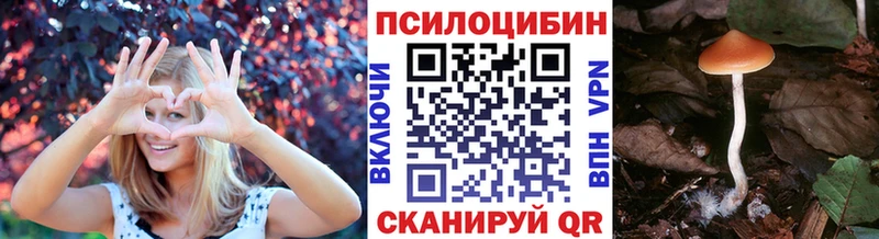 Псилоцибиновые грибы прущие грибы  hydra tor  Гулькевичи 